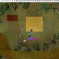Forest round 1.jpg