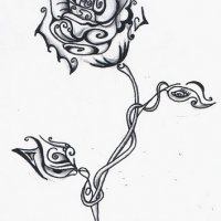 rose tattoo.jpg