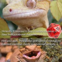 D&D Lizard.jpg