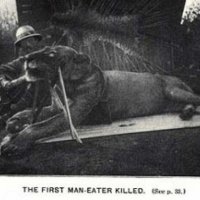 tsavo-man-eaters-lions.9416.large_slideshow.jpg