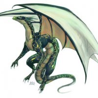 Flying_Dragon_by_Fomle_chan.png.jpg