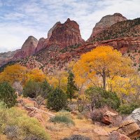 Zion.jpg
