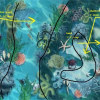 reef map key.jpg