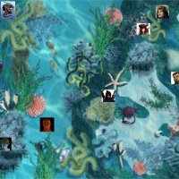 reef rd 1.jpg