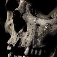 250px-Skullclose_zpse1b1bddd.jpg