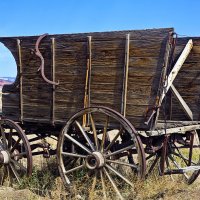 horse-drawn-wagon-wendy-white.jpg