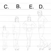 height_proportions_answer.jpg