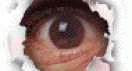 eye001.gif