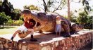 big%20crocodile.jpg