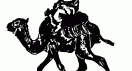 camel.gif