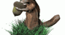 chipmunk.gif