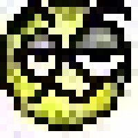 k9.jpg