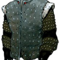 Studded Leather magic.jpg