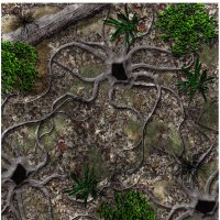 forest-floor.jpg