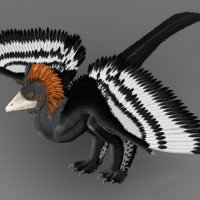 dinosaur_feathers2-660x460.jpg