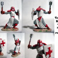 templar_knight_collage_by_surftiki-d47ir95.jpg