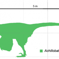 800px-Achillobator_scale.png