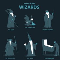 funny-wizard-grey-apprentice-pinballer.jpg