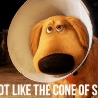 Dug-I-Do-Not-Like-The-Cone-of-Shame-Up-2009.jpg