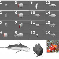 modeling-a-clownfish.jpg