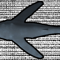 humpback.png