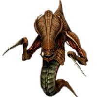 world of starcraft zerg.jpg