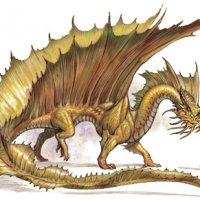 dd-gold-dragon.jpg