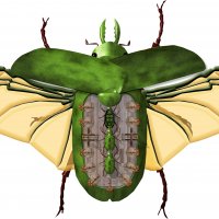 gnollian-scarab-carapace-open-deck.jpg