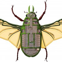 gnollian-scarab-crew-deck.jpg
