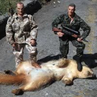 hunt.jpg
