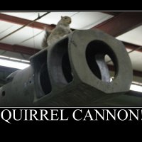 SquirrelCannon.jpg