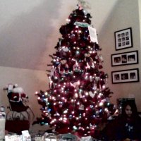 WIN_20141225_075602.JPG