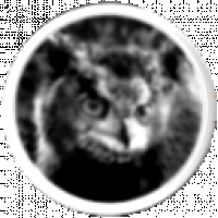 ursa_maximus.png