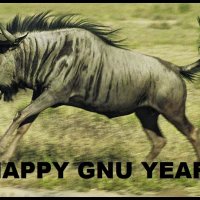 gnu_sprung.jpg