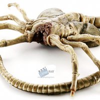 Alien_Facehugger_h1.jpg