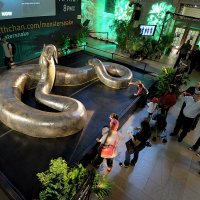 titanoboa-getty.jpg