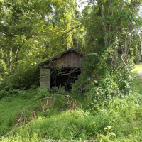 overgrown_garage_by_seeker_of_revelation-d7xv1wr.png