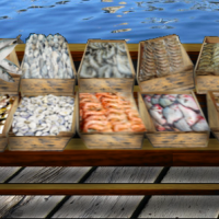 Fish Stall L.png