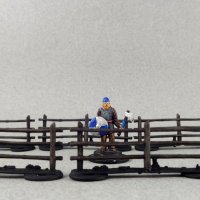 fences3.JPG