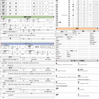 Character Sheet I Japanese.png