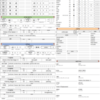 Character Sheet I Hebrew.png