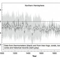 michaelmann_hockeystick.jpg