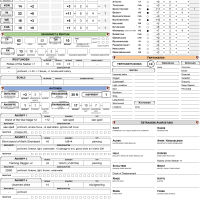 Character Sheet I German.png