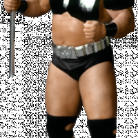 Warlord-template.png