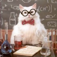 science cat.jpg