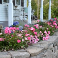 this-week-in-the-garden-mid-June-porch-reno-stone-wall-tiny-farmhouse-640x426.jpg