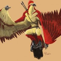 aarakocra.jpg