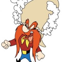 yosemite-sam-e1402581235248-260x300.jpg