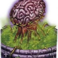 elder brain 001.jpg