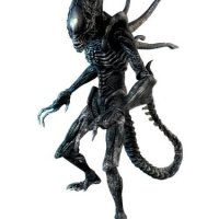 xenomorph.jpg